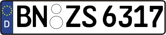 BN-ZS6317