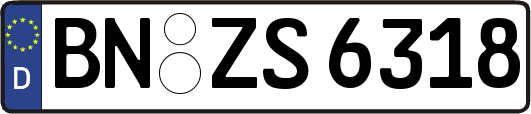 BN-ZS6318