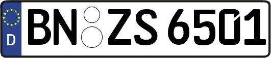BN-ZS6501