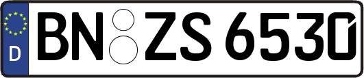 BN-ZS6530