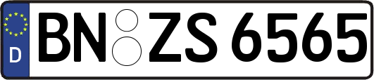 BN-ZS6565