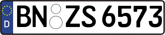 BN-ZS6573