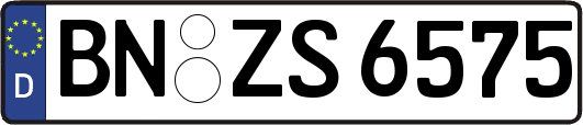 BN-ZS6575