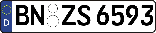 BN-ZS6593