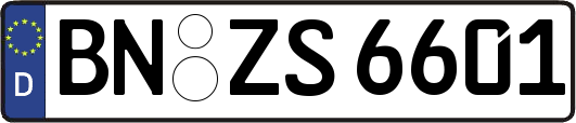 BN-ZS6601