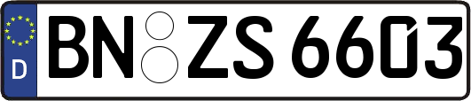 BN-ZS6603