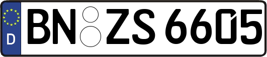 BN-ZS6605