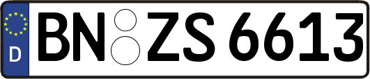 BN-ZS6613