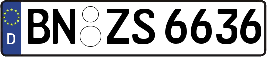 BN-ZS6636