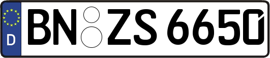 BN-ZS6650