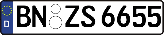 BN-ZS6655