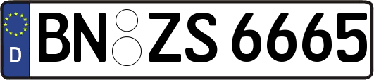BN-ZS6665