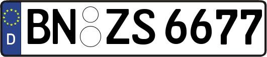 BN-ZS6677