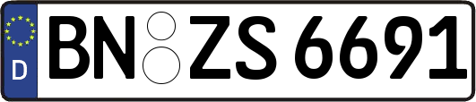BN-ZS6691
