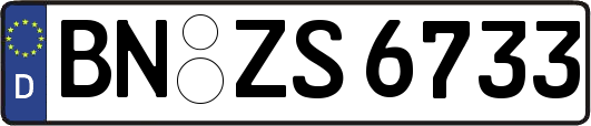 BN-ZS6733