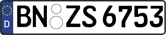 BN-ZS6753