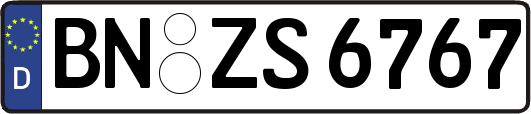 BN-ZS6767