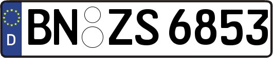 BN-ZS6853