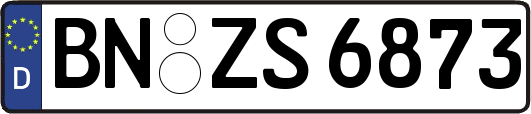 BN-ZS6873