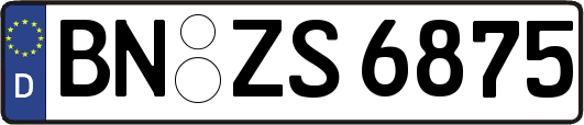 BN-ZS6875