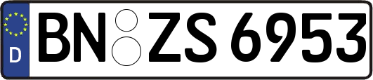 BN-ZS6953