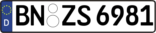 BN-ZS6981