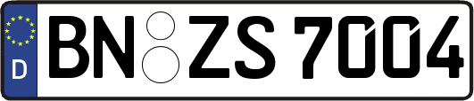 BN-ZS7004
