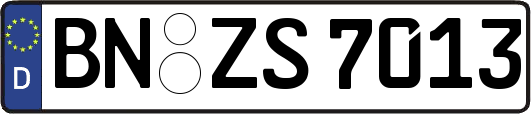 BN-ZS7013