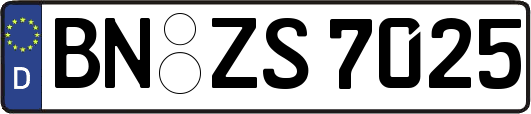 BN-ZS7025