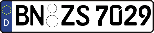 BN-ZS7029