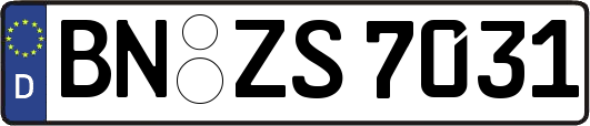 BN-ZS7031