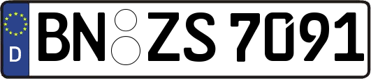 BN-ZS7091