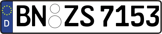 BN-ZS7153