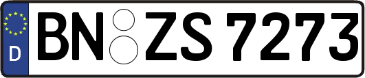 BN-ZS7273