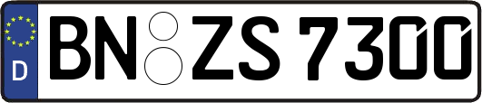BN-ZS7300