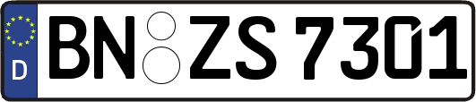 BN-ZS7301