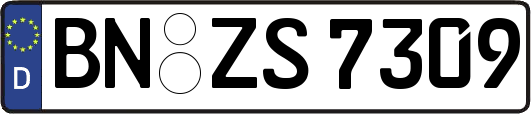 BN-ZS7309