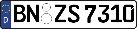BN-ZS7310