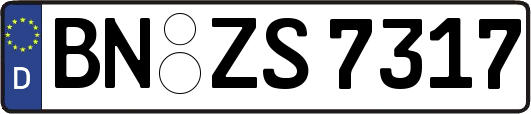 BN-ZS7317