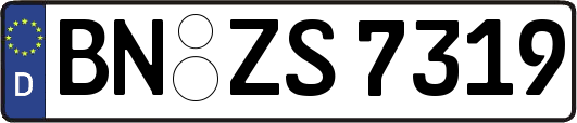 BN-ZS7319