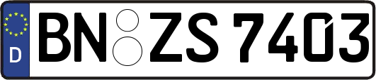 BN-ZS7403