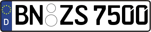 BN-ZS7500
