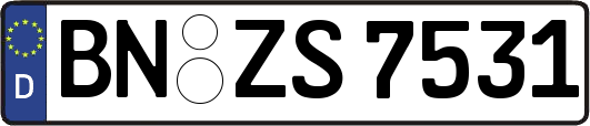 BN-ZS7531