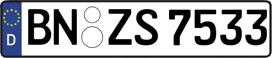 BN-ZS7533