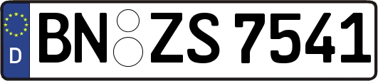 BN-ZS7541