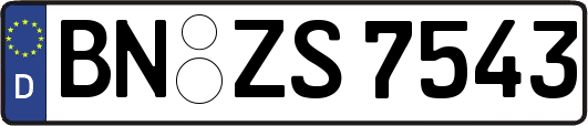 BN-ZS7543