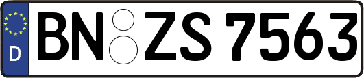 BN-ZS7563