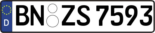 BN-ZS7593