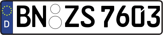 BN-ZS7603