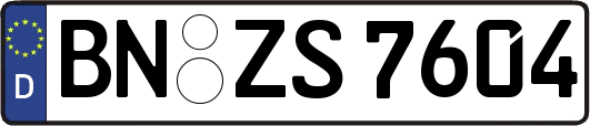 BN-ZS7604